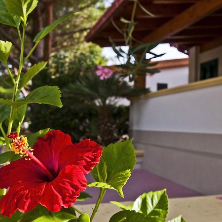 Green Park Village Весте Екстериор снимка